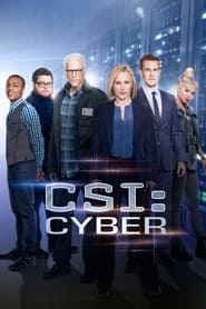 CSI: Cyber (2015-)