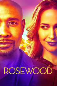 Rosewood (2015-)
